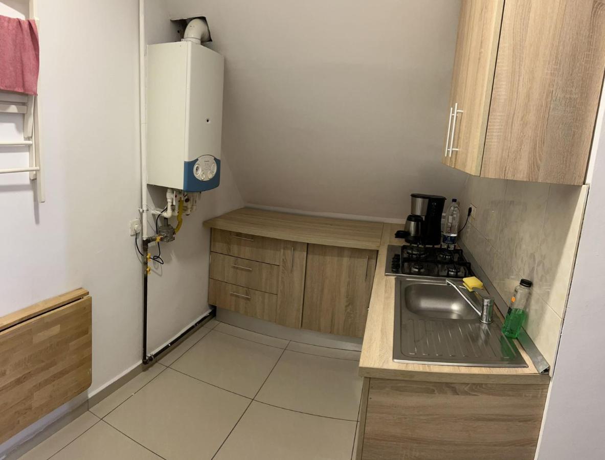 Chez Ana Appartement Otopeni Buitenkant foto