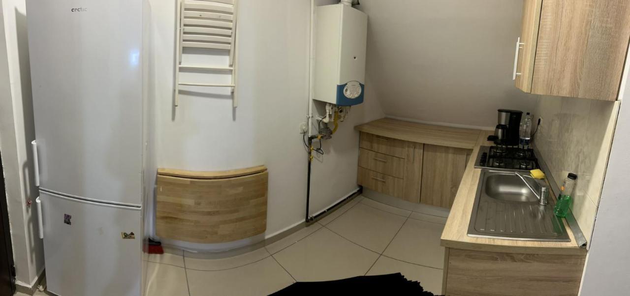 Chez Ana Appartement Otopeni Buitenkant foto